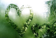 2025石家庄马拉松赛鸣枪开跑 3.5万名选手参赛3-30 20：31.