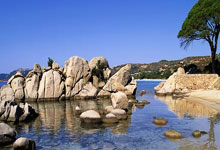 九游会官网：[高尔夫]斯皮思郁闷帕尔默邀请赛不给外卡：受伤也不能通融？.